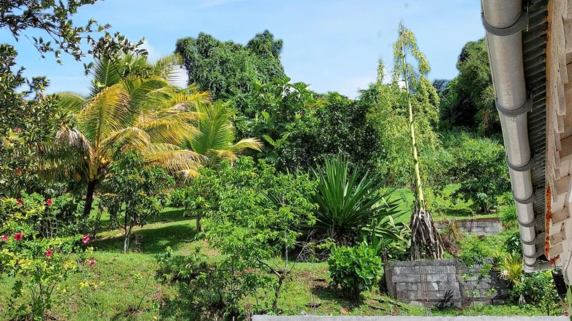 Maison En Bord De Mer A Saint-Claude Avec Jardin Et Vue Imprenable 0*,