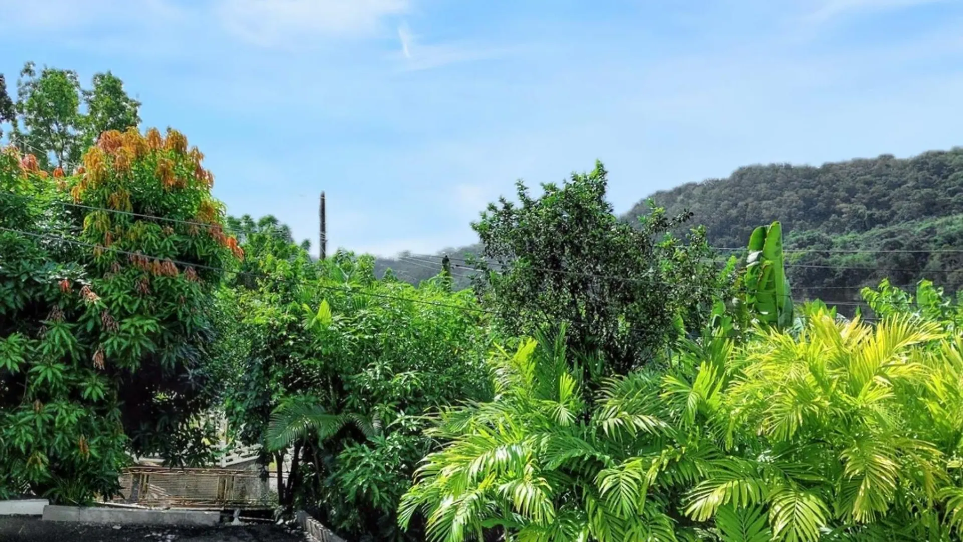 Nyaraló Maison En Bord De Mer A Saint-Claude Avec Jardin Et Vue Imprenable Guadeloupe
